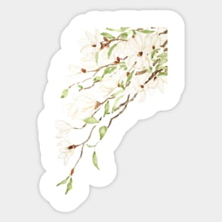 white magnolia blossom watercolor Sticker